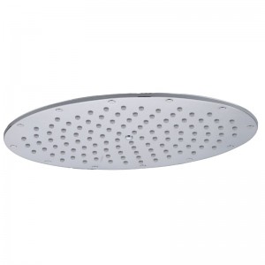 Cora Brass Chrome Oval Shower Head